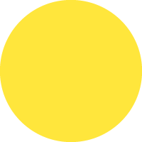 Champion Yellow No.2
                                    
