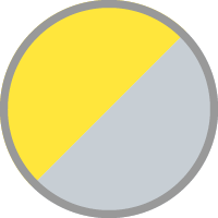Champion Yellow No.2 / Metallic Matte Sword Silver
            