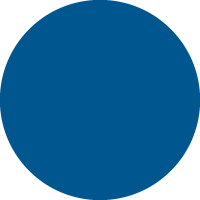 Metallic Triton Blue
            