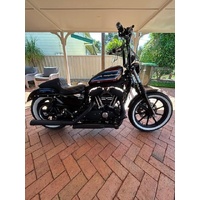 2020 Harley-Davidson Iron 1200 (XL1200NS)