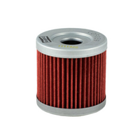 Champion Oil Filter Element - COF039