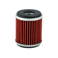 Champion Oil Filter Element - COF040