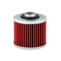 Champion Oil Filter Element - COF045