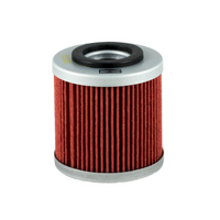 Champion Oil Filter Element - COF054