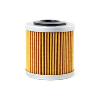Champion Oil Filter Element - COF082