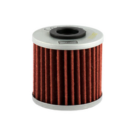 Champion Oil Filter Element - COF107