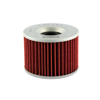 Champion Oil Filter Element - COF301
