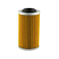 Champion Oil Filter Element - COF456