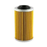 Champion Oil Filter Element - COF464