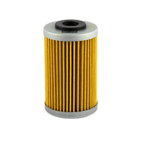 Champion Oil Filter Element - COF555
