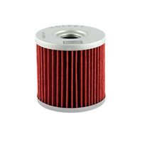 Champion Oil Filter Element - COF581