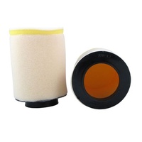 No Toil Standard Air Filters - 320-19