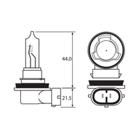 Bulb - Halogen 12V 65W - H9 - PGJ19-5
