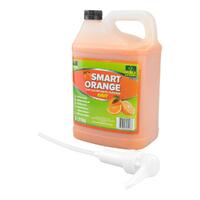 Big Hands Extreme Hand Clean 5L