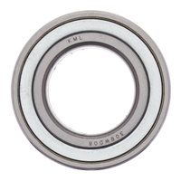 All Balls Racing Wheel Bearing Kit (25-1497)