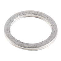 Exhaust Gasket Kit 823060