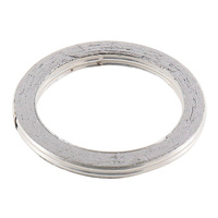 Exhaust Gasket Kit 823064