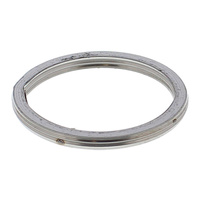 Exhaust Gasket Kit 823174
