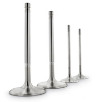 YAMAHA FZR1000 25mm EX