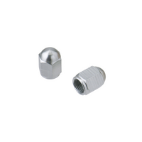 Drc Valve Caps Alloy | Ti Colour | 2 Pcs