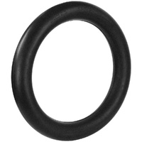 Dunlop Mousse Tube