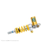 Ducati Panigale V4 / V4S / V4R (PCS)
