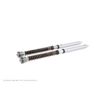 Front fork kit Kawasaki ZX-6R (SET)