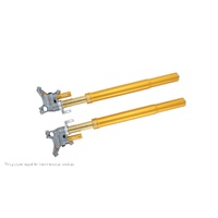 Front fork Superbike 770mm (SET)