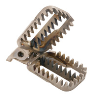Kawasaki Paragon Titanium Footpegs