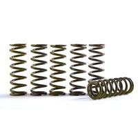 Hinson Hi-Temp Clutch Spring Kit - Set Of 6 Honda CRF450R