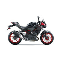 Z500 SE (LAMS) (MY24)
