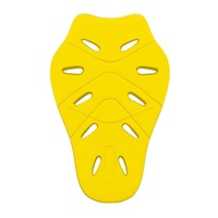 LS2 Back Protector