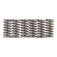 Premier Clutch Springs - Heavy Duty