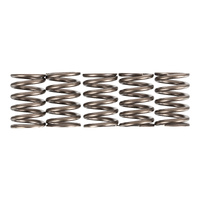 Premier Clutch Springs - Heavy Duty
