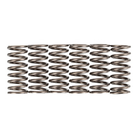 Premier Clutch Springs - Heavy Duty