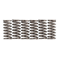 Premier Clutch Springs - Heavy Duty