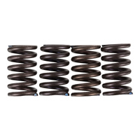 Premier Clutch Springs - Heavy Duty