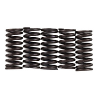 Premier Clutch Springs - Heavy Duty