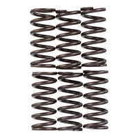Premier Clutch Springs - Heavy Duty