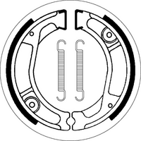 SBS 2029 BRAKE SHOES | WITH SPRINGS