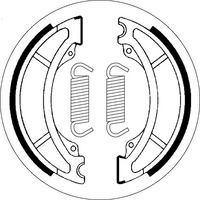 SBS 2036 BRAKE SHOES | WITH SPRINGS