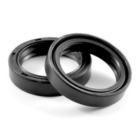 SPP Fork Seal Kit 36 X 48 X 10.5