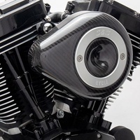 S&S Carbon Fiber Air Cleaner Cover For All Stealth Applications