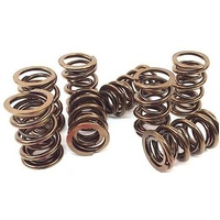 Ape Valve Spring Kit Suzuki Gsx1300R '99-14