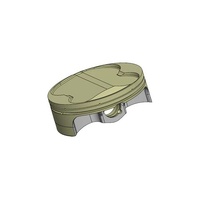 Wossner Piston Kit for GasGas 450 EC450F /450 HP Wild ('05)