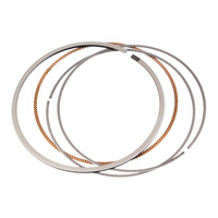 WOSSNER RING SET RIKEN 97.00mm - INDENT