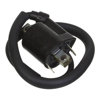 WMP Electrical Coil 12V